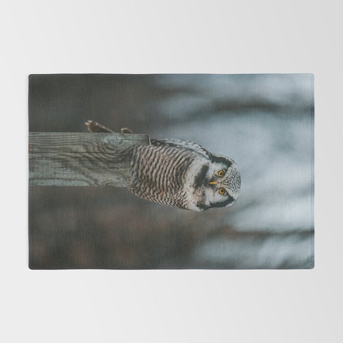 The Northern Howk Owl - Landscape and Nature Photography Rug Gallery Image 2