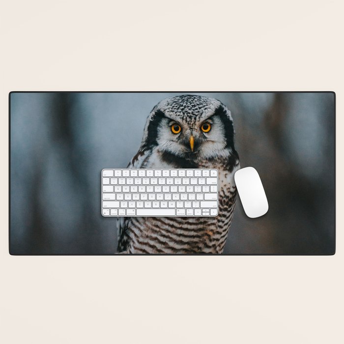 The Northern Howk Owl - Landscape and Nature Photography Desk Mat Gallery Image 1