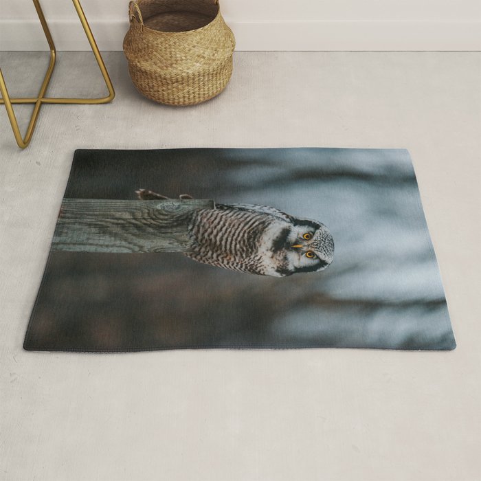 The Northern Howk Owl - Landscape and Nature Photography Rug Gallery Image 1