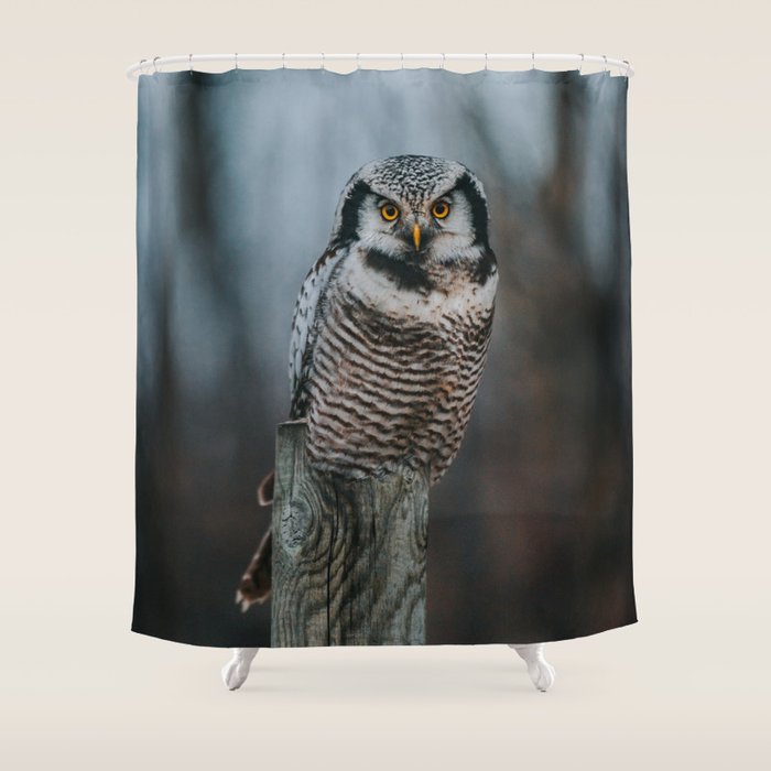 The Northern Howk Owl - Landscape and Nature Photography Shower Curtain Gallery Image 1