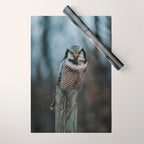 The Northern Howk Owl - Landscape and Nature Photography Wrapping Paper Gallery Image 1