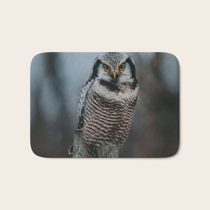 The Northern Howk Owl - Landscape and Nature Photography Bath Mat Gallery Image 1