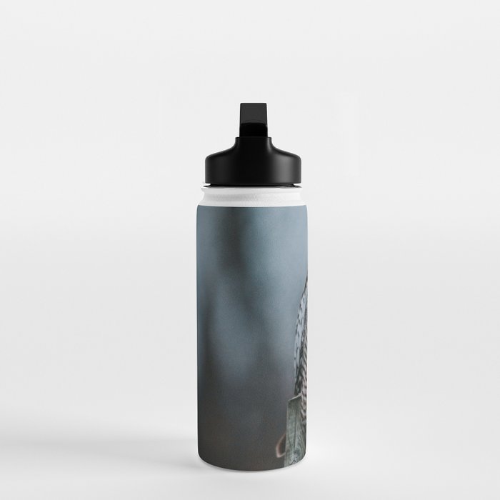 The Northern Howk Owl - Landscape and Nature Photography Water Bottle Gallery Image 3