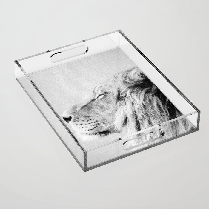 Lion Portrait - Black & White Acrylic Tray Gallery Image 1