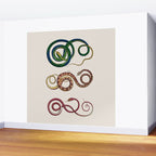 Albertus Seba Three Snakes Illustration  Wall Mural Gallery Image 2