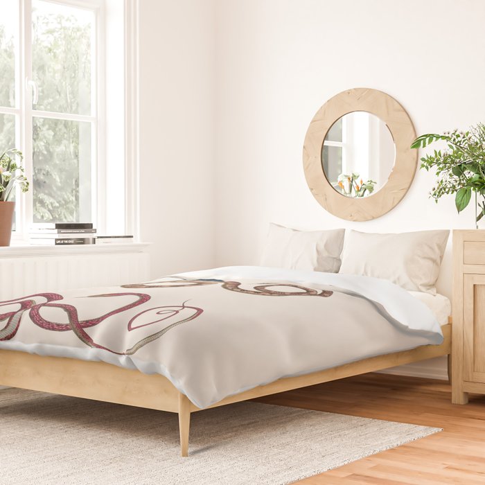Albertus Seba Three Snakes Illustration  Duvet Cover Gallery Image 2