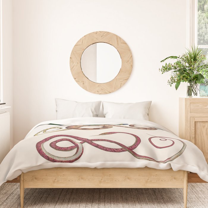 Albertus Seba Three Snakes Illustration  Duvet Cover Gallery Image 3