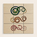 Albertus Seba Three Snakes Illustration  Wood Wall Art Gallery Image 1