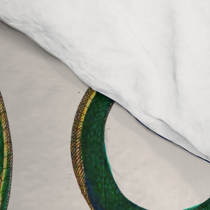 Albertus Seba Three Snakes Illustration  Comforter Gallery Image 4