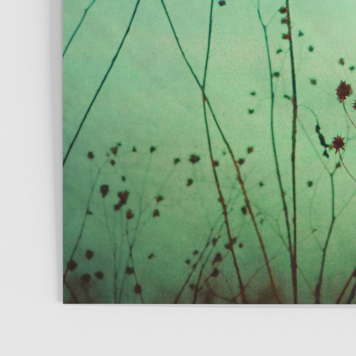 Between Autumn and Winter Poster Gallery Image 3
