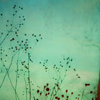 Between Autumn and Winter Coffee Mug Gallery Image 2