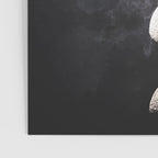 Mistery Moon Poster Gallery Image 3