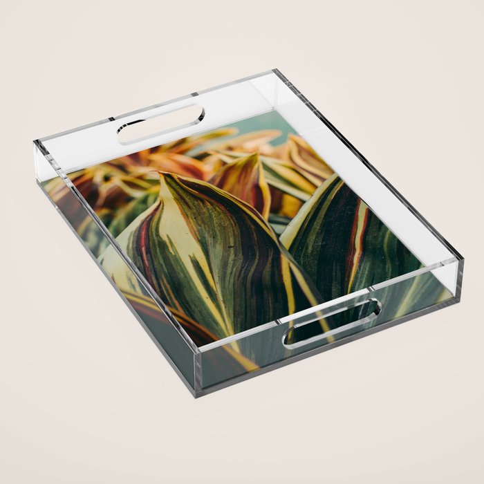 Summer Leaves Acrylic Tray Gallery Image 1