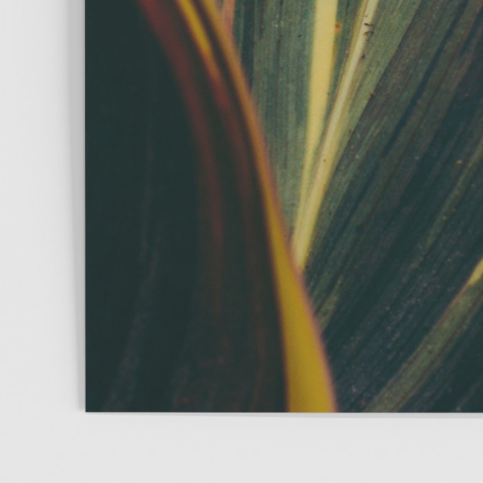 Summer Leaves Poster Gallery Image 3