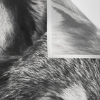 Wolf Wall Tapestry Gallery Image 3