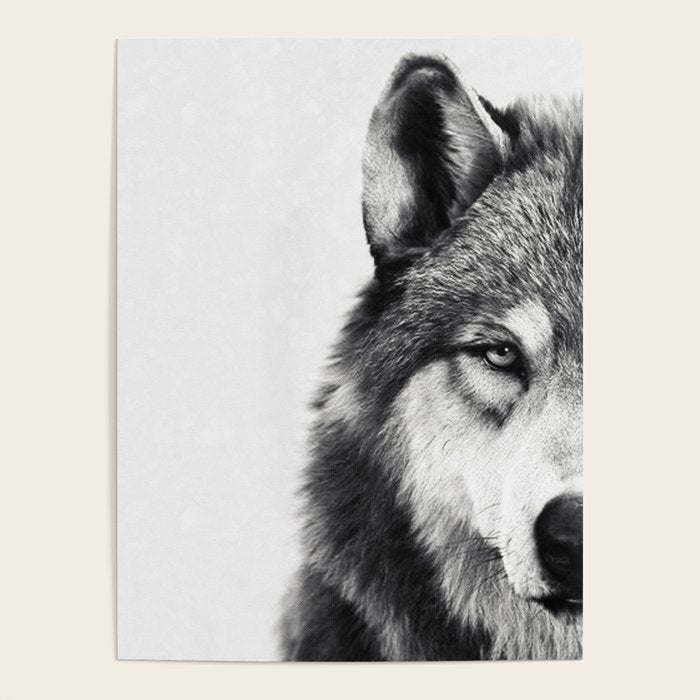 Wolf Poster Gallery Image 1