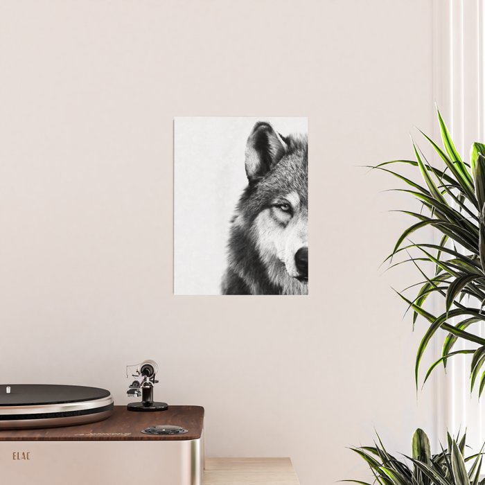 Wolf Poster Gallery Image 2