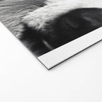 Wolf Welcome Mat Gallery Image 2