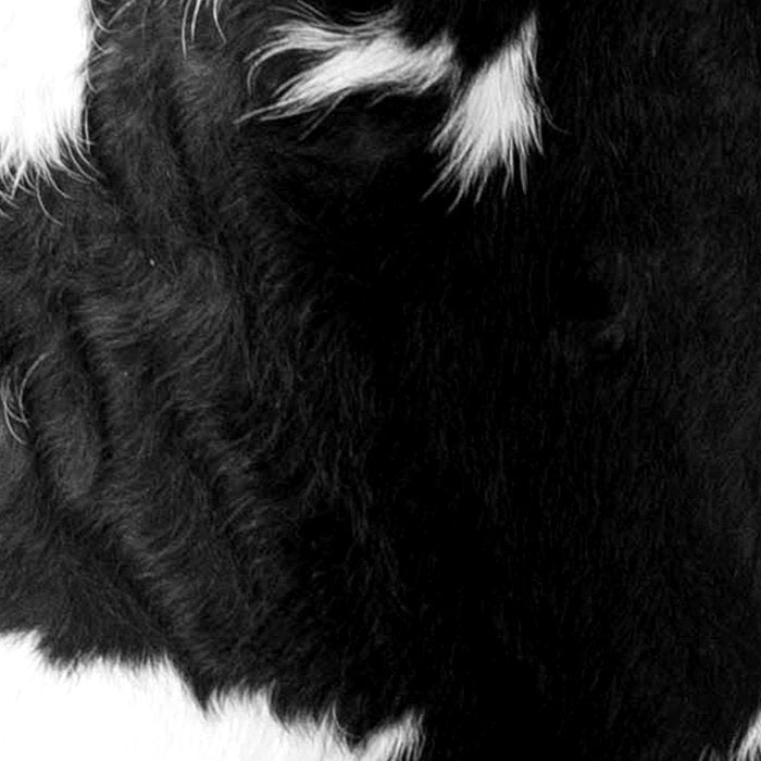 Modern Cowhide Coffee Mug Gallery Image 2