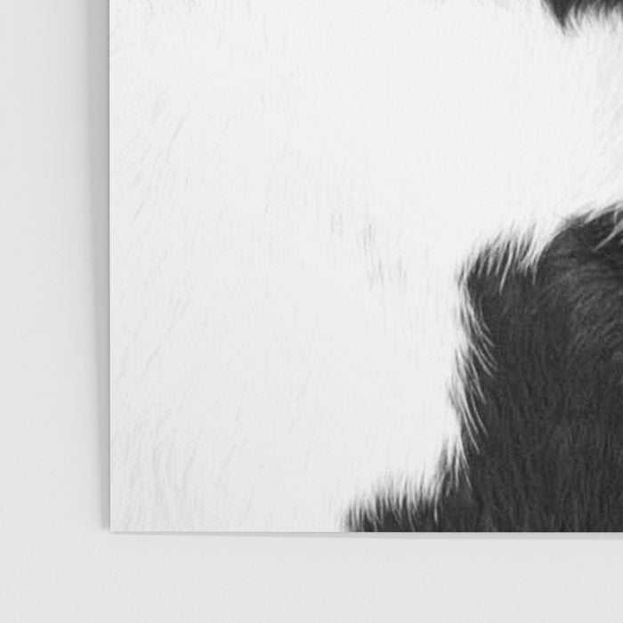 Modern Cowhide Poster Gallery Image 3