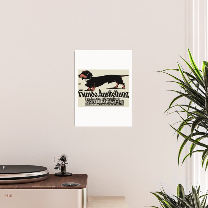 1905 German Dog Show Dachshund Poster Poster Gallery Image 2