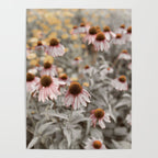 Her Dreams Came Into Full Bloom Poster Gallery Image 4