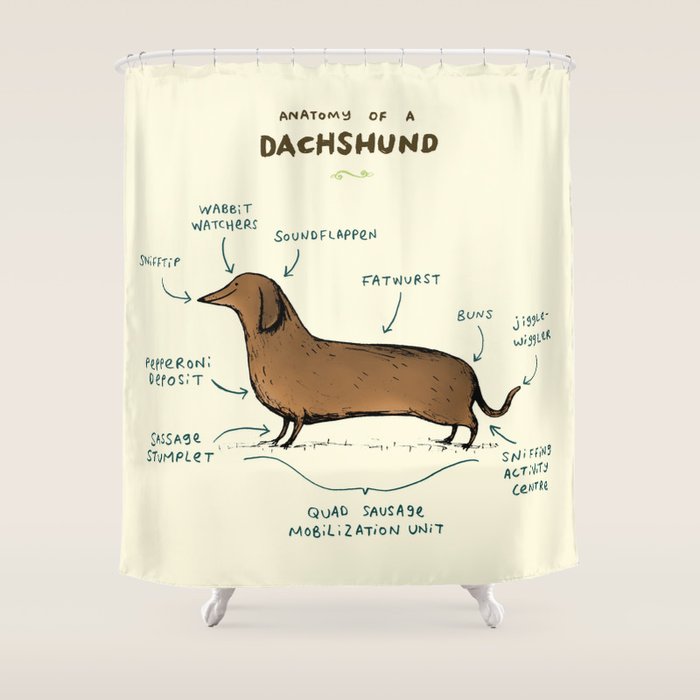 Anatomy of a Dachshund Shower Curtain Gallery Image 1