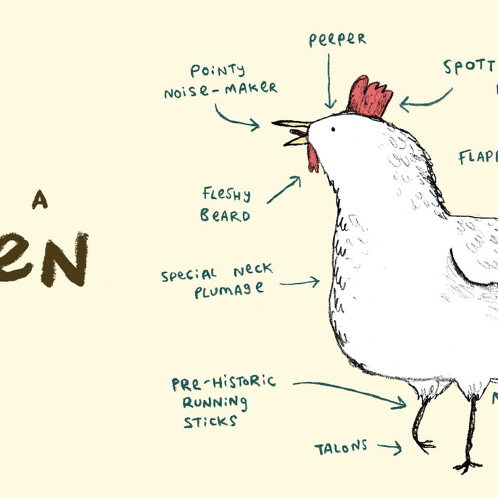 Anatomy of a Chicken Coffee Mug Gallery Image 2