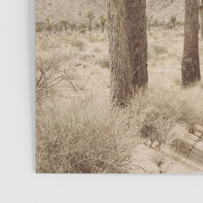 Joshua Tree Poster Gallery Image 3