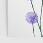 Dandelion Poster Gallery Image 3