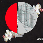 Ascend. Coffee Mug Gallery Image 2