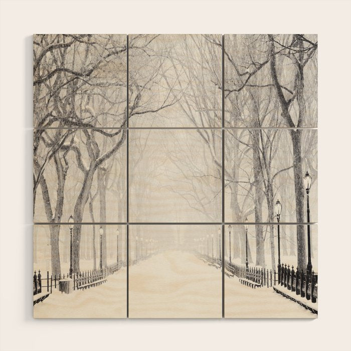 Snowy Park Wood Wall Art Gallery Image 1