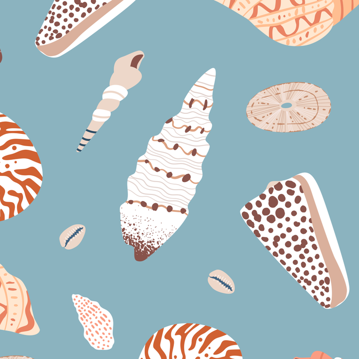 Vintage sea shell flat illustration pattern Coffee Mug Gallery Image 2