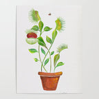 Venus Fly Trap Watercolor Poster Gallery Image 4