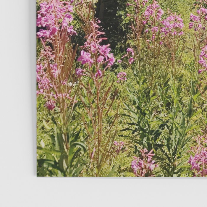 Cascade Summer Wildflowers Poster Gallery Image 3
