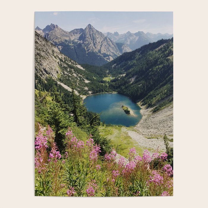 Cascade Summer Wildflowers Poster