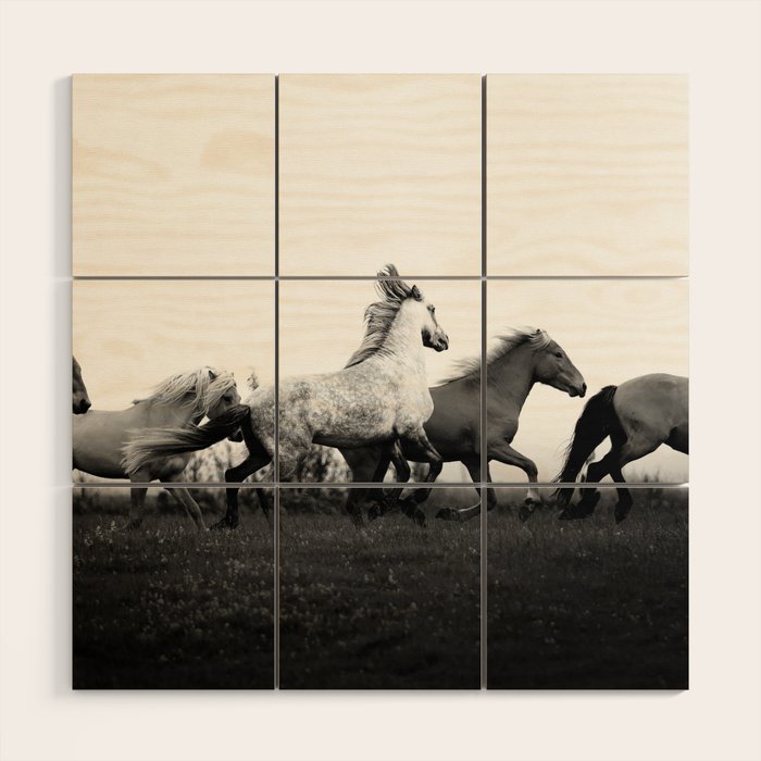 Art in motion - running horses black and white Wood Wall Art Gallery Image 1