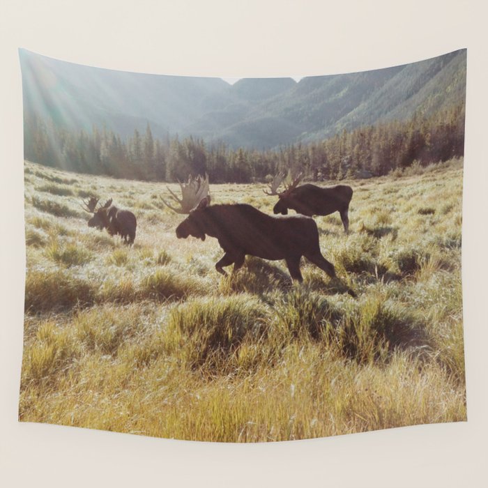 Three Meadow Moose Wall Tapestry Gallery Image 1