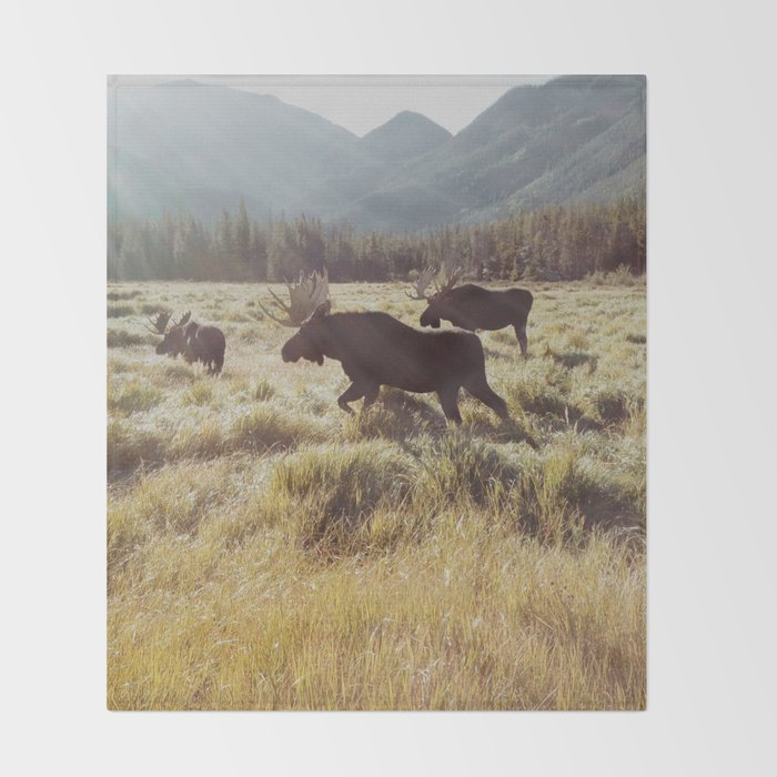 Three Meadow Moose Throw Blanket Gallery Image 2