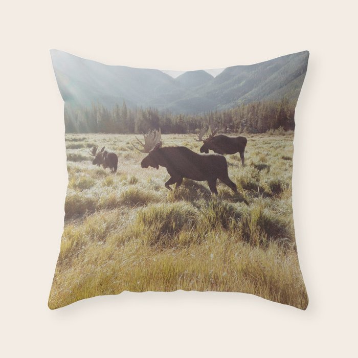 Three Meadow Moose Throw Pillow Gallery Image 6