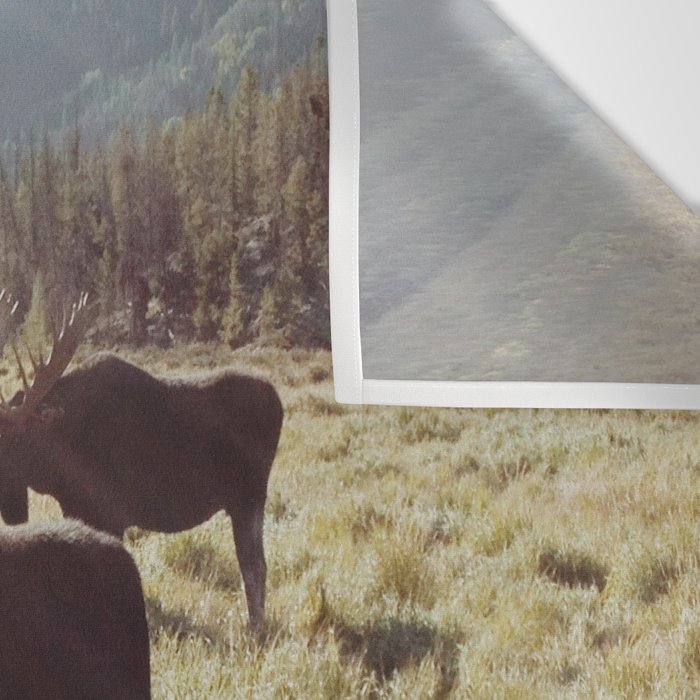 Three Meadow Moose Wall Tapestry Gallery Image 3