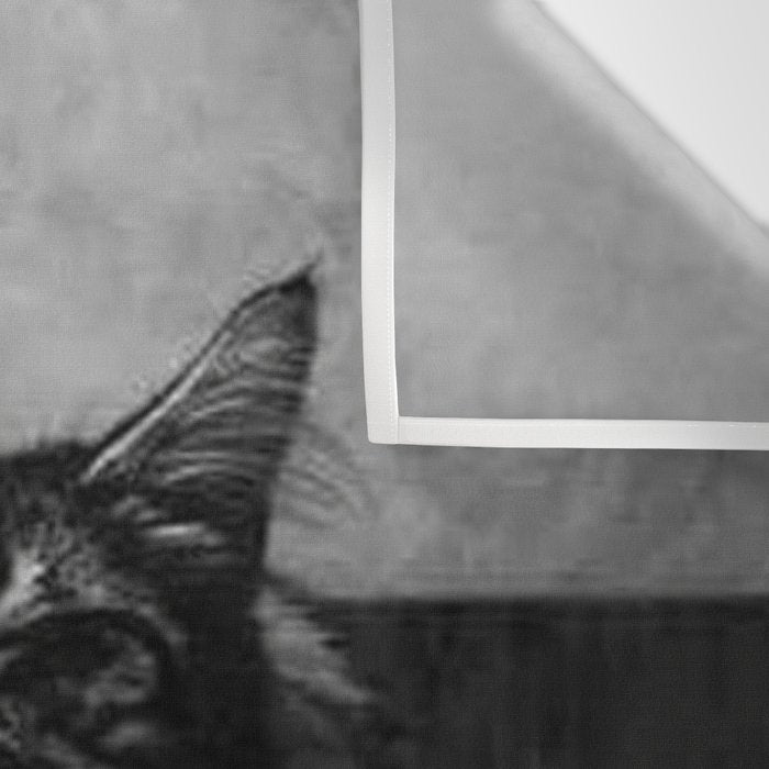 The Nightwatch Cat at the Absinthe bar black and white photograph / art photography Wall Tapestry Gallery Image 3