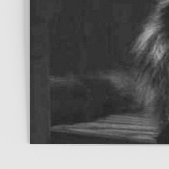 The Nightwatch Cat at the Absinthe bar black and white photograph / art photography Poster Gallery Image 3