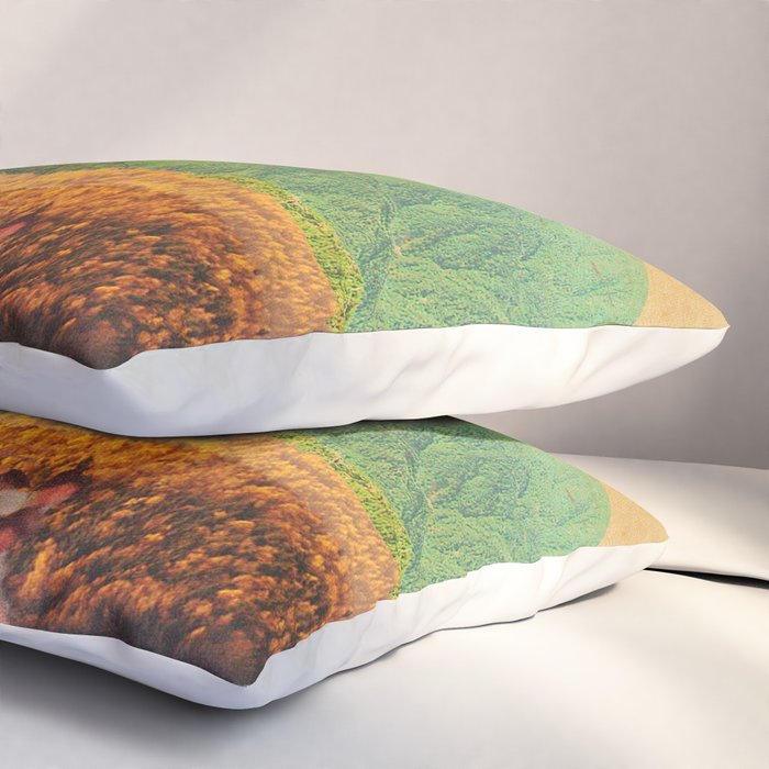 Eternal Noons Pillow Sham Gallery Image 3