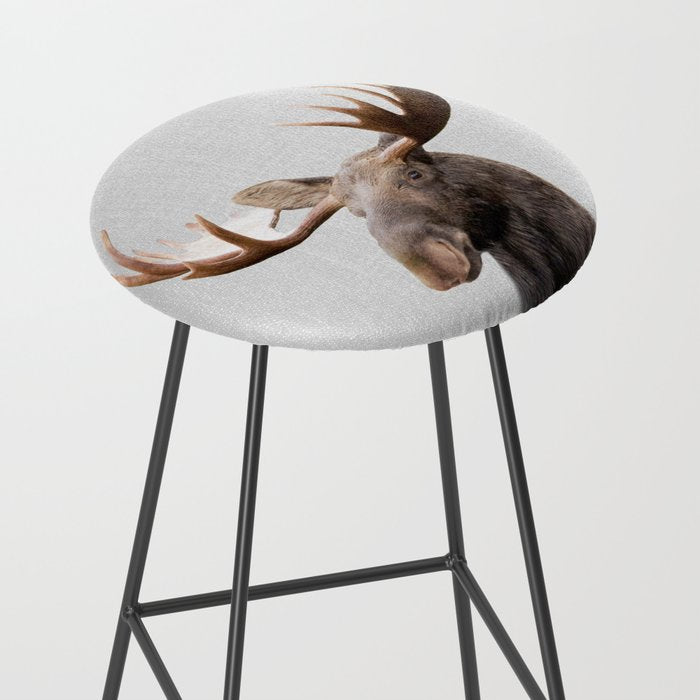 Moose - Colorful Stool Gallery Image 2