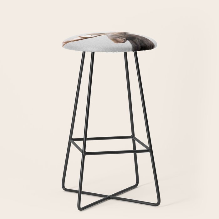 Moose - Colorful Stool Gallery Image 1