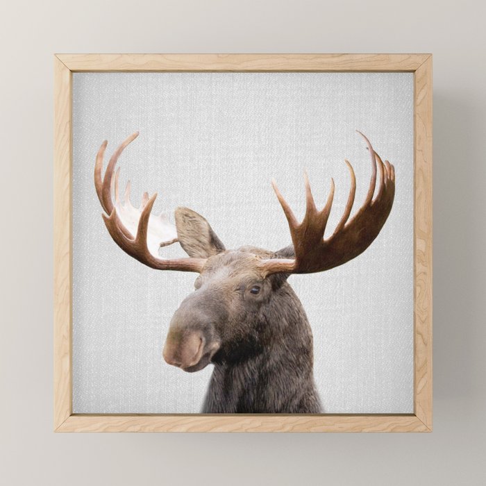 Moose - Colorful Mini Art Print Gallery Image 1