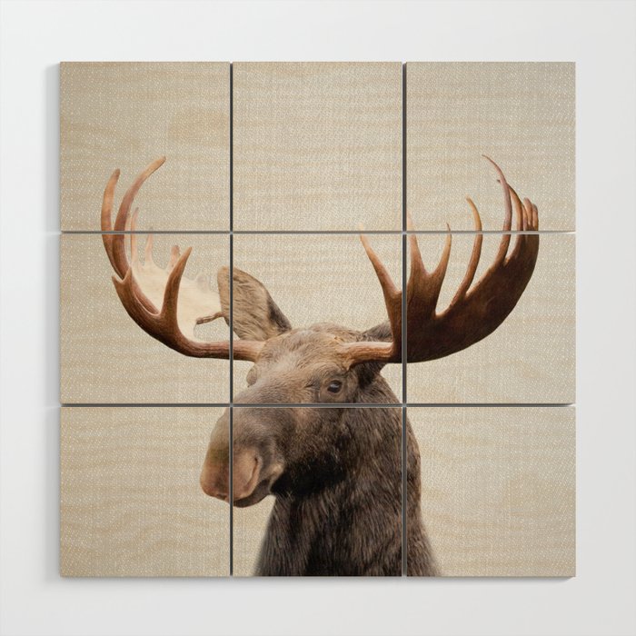 Moose - Colorful Wood Wall Art Gallery Image 1