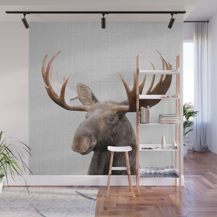 Moose - Colorful Wall Mural Gallery Image 1