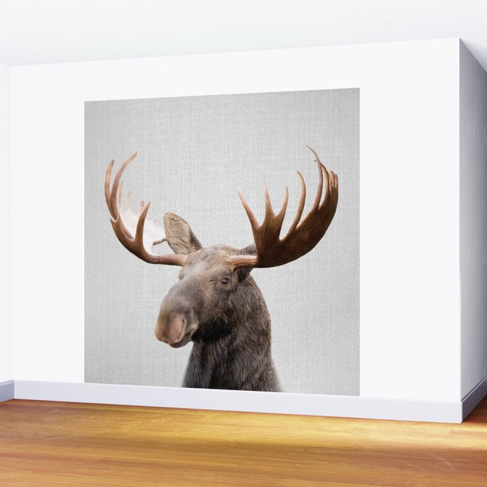 Moose - Colorful Wall Mural Gallery Image 2